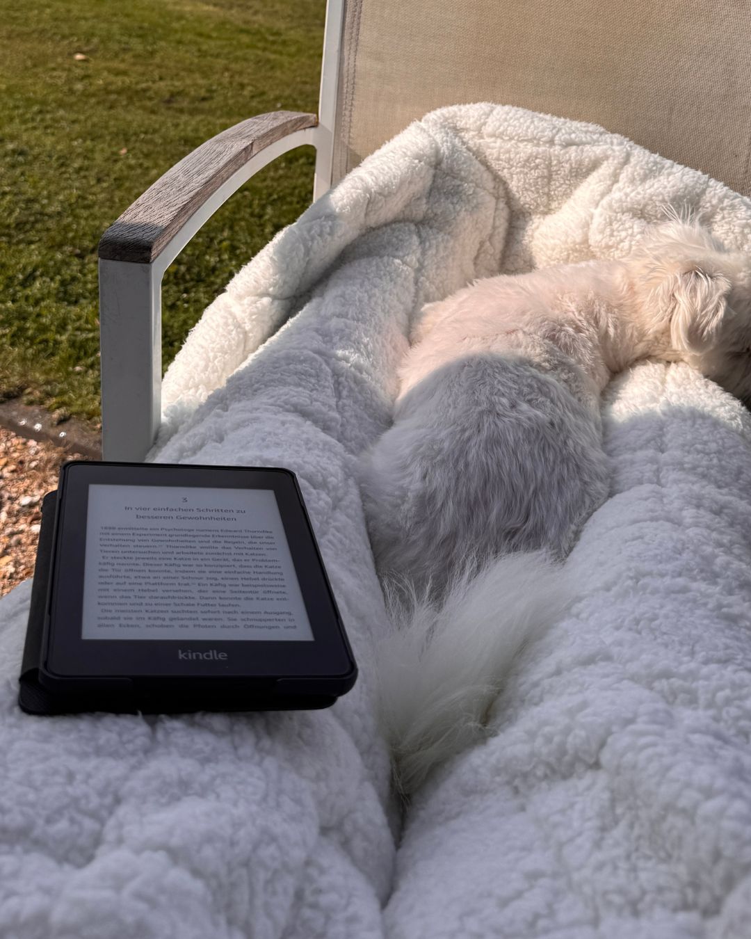 E-Book-Reader auf einer Decke, daneben der Hund